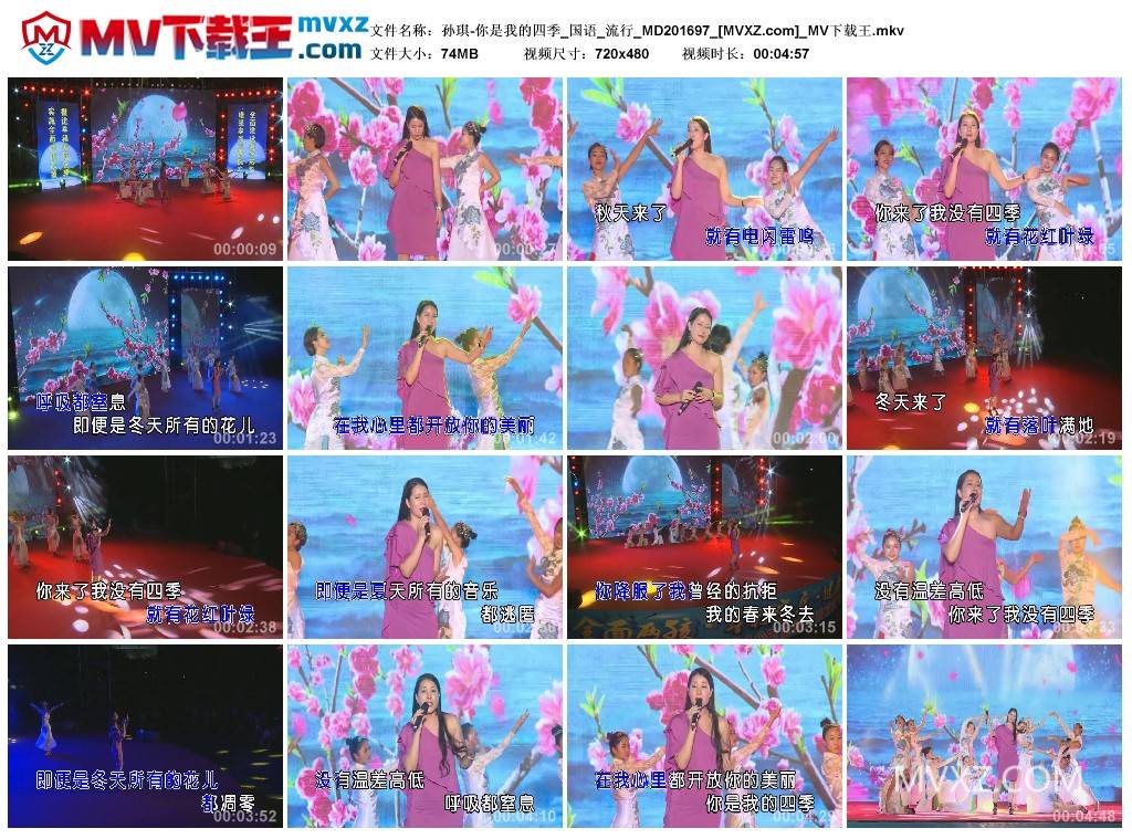 孙琪-你是我的四季_国语_流行_MD201697